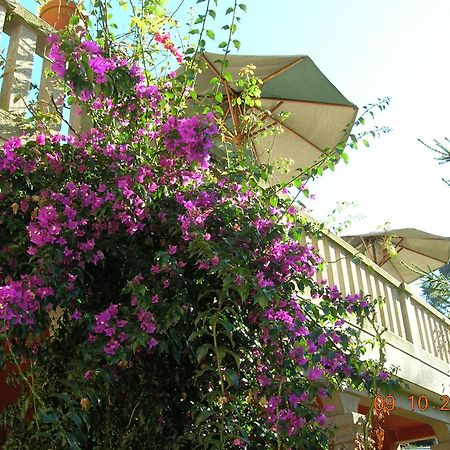 As Adegas Guest House โปโย ภายนอก รูปภาพ