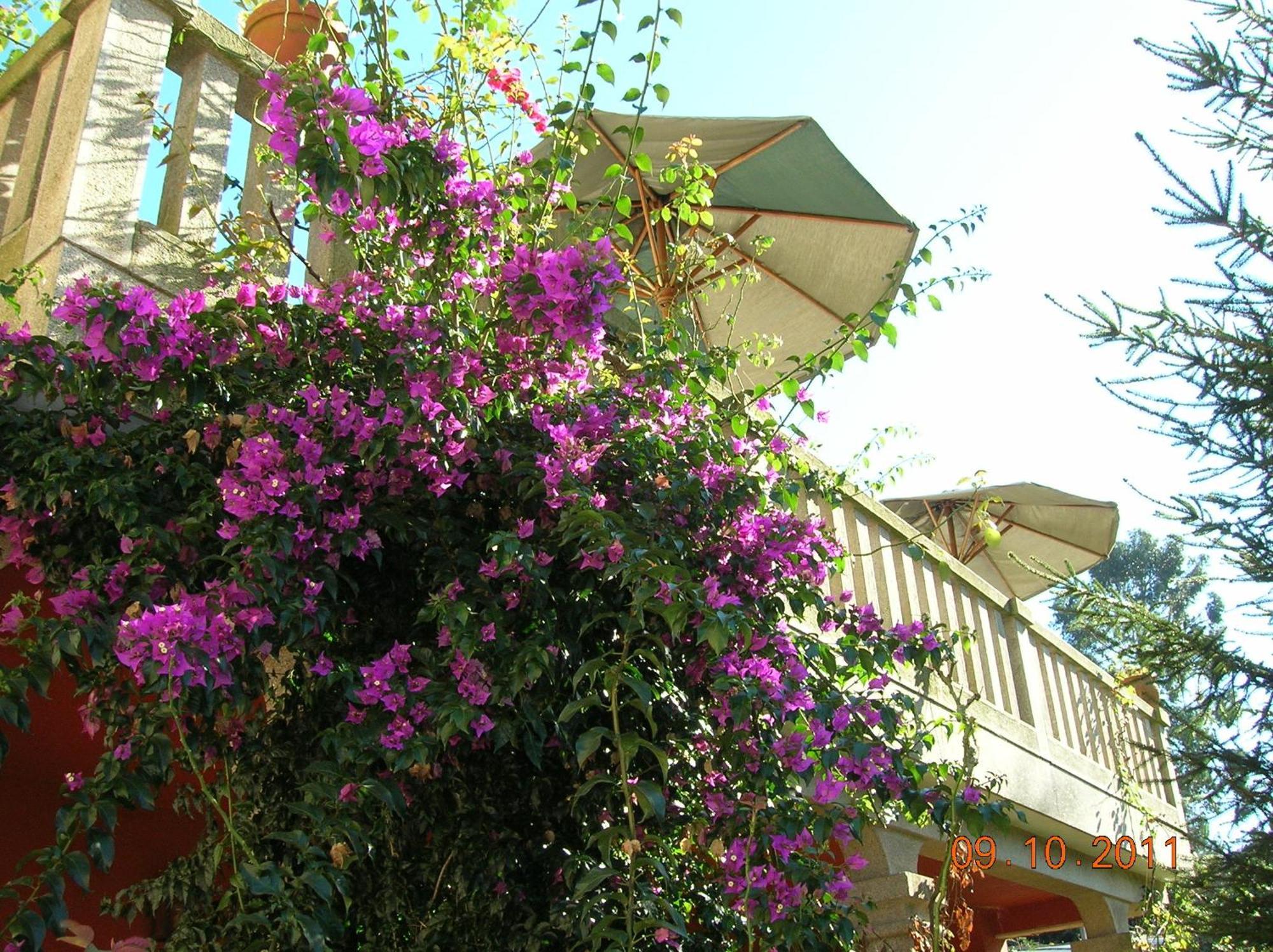 As Adegas Guest House โปโย ภายนอก รูปภาพ